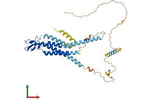 AlphaFold protein structure predicition of Human Recombinant GJA5 Protein, UniprotID P36382