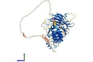 AlphaFold protein structure predicition of Mouse Recombinant Wdpcp Protein, UniprotID Q8C456