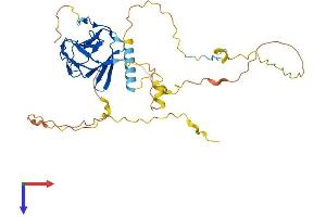 AlphaFold protein structure predicition of Human Recombinant PPP1R8 Protein, UniprotID Q12972