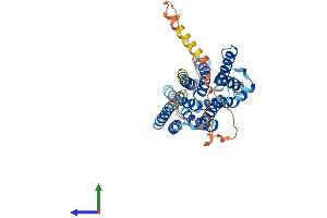 AlphaFold protein structure predicition of Human Recombinant SLC35D3 Protein, UniprotID Q5M8T2