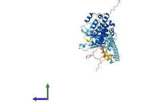 AlphaFold protein structure predicition of Mouse Recombinant Polr1e Protein, UniprotID Q8K202