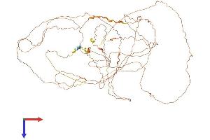 AlphaFold protein structure predicition of Mouse Recombinant Nsun4 Protein, UniprotID C4P6S0