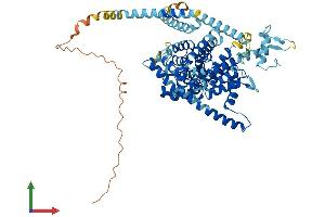 AlphaFold protein structure predicition of Human Recombinant SLC28A2 Protein, UniprotID O43868