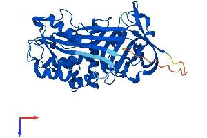 AlphaFold protein structure predicition of Human Recombinant SERPINB1 Protein, UniprotID P30740
