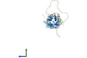 AlphaFold protein structure predicition of Human Recombinant ZNF84 Protein, UniprotID P51523