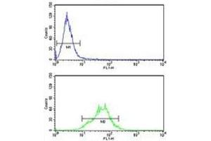 LDHA antibody flow cytometry analysis of HeLa cells (green) compared to a negative control (blue).