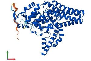 AlphaFold protein structure predicition of Human Recombinant FADS3 Protein, UniprotID Q9Y5Q0