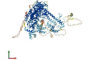 AlphaFold protein structure predicition of Human Recombinant POLG Protein, UniprotID P54098
