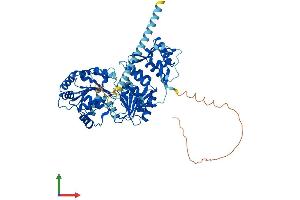 AlphaFold protein structure predicition of Mouse Recombinant Recql Protein, UniprotID Q9Z129