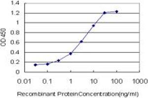 Detection limit for recombinant GST tagged FOXA2 is approximately 0. (FOXA2 anticorps  (AA 363-457))