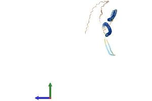 AlphaFold protein structure predicition of Human Recombinant KRT17 Protein, UniprotID Q04695