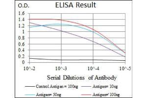 Red: Control Antigen (100ng) ; Purple: Antigen (10ng) ; Green: Antigen (50ng) ; Blue: Antigen (100ng). (IGF2 anticorps  (AA 25-180))