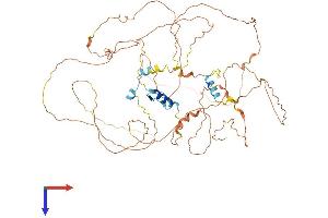 AlphaFold protein structure predicition of Human Recombinant ZNF503 Protein, UniprotID Q96F45