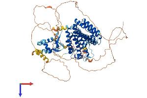 AlphaFold protein structure predicition of Human Recombinant RFX3 Protein, UniprotID P48380