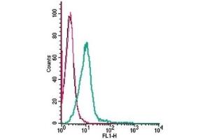 Cell surface detection of GPR35 by indirect flow cytometry in live intact mouse BV-2 microglia cell line: (black line) Cells.