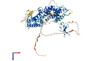 AlphaFold protein structure predicition of Mouse Recombinant Rasgrp4 Protein, UniprotID Q8BTM9