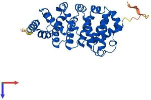 AlphaFold protein structure predicition of Human Recombinant CNOT9 Protein, UniprotID Q92600