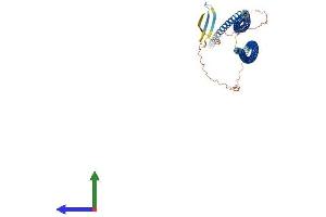 AlphaFold protein structure predicition of Human Recombinant KRT8 Protein, UniprotID P05787