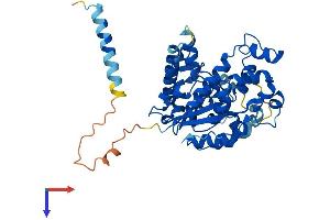 AlphaFold protein structure predicition of Mouse Recombinant Chst1 Protein, UniprotID Q9EQC0