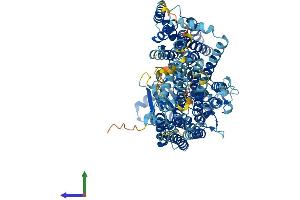 AlphaFold protein structure predicition of Human Recombinant PIGN Protein, UniprotID O95427