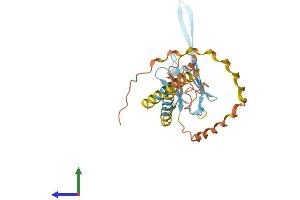 AlphaFold protein structure predicition of Mouse Recombinant Odf1 Protein, UniprotID Q61999