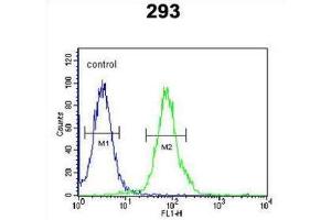 Flow Cytometry (FACS) image for anti-Rhotekin 2 (RTKN2) antibody (ABIN3002451)
