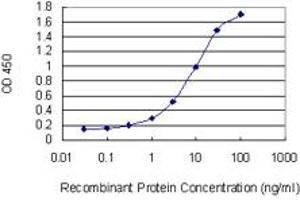 Detection limit for recombinant GST tagged SOS1 is 0. (SOS1 anticorps  (AA 313-420))
