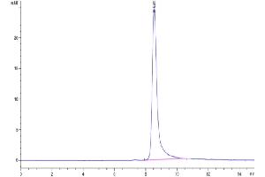 The purity of Cynomolgus APOH is greater than 95 % as determined by SEC-HPLC.