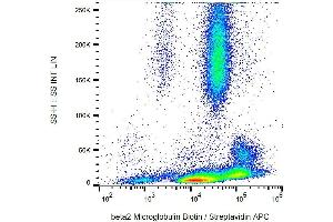 Surface staining of β2-microglobulin in human peripheral blood with anti-β2-microglobulin (B2M-01) biotin.