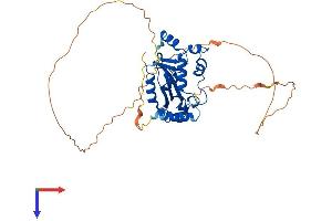 AlphaFold protein structure predicition of Mouse Recombinant Isg20l2 Protein, UniprotID Q3U1G5