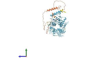 AlphaFold protein structure predicition of Human Recombinant ZNF555 Protein, UniprotID Q8NEP9
