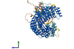 AlphaFold protein structure predicition of Human Recombinant NLRP12 Protein, UniprotID P59046