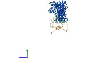 AlphaFold protein structure predicition of Human Recombinant ASB1 Protein, UniprotID Q9Y576
