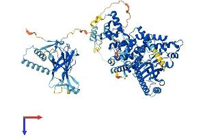 AlphaFold protein structure predicition of Mouse Recombinant Pik3c3 Protein, UniprotID Q6PF93