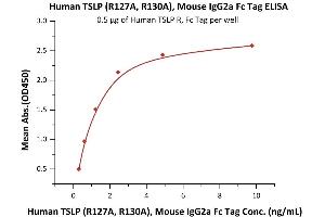 Immobilized Human TSLP R, Fc Tag (ABIN5954970,ABIN6253631) at 5 μg/mL (100 μL/well) can bind Human TSLP (R127A, R130A), Mouse IgG2a Fc Tag (ABIN6938921,ABIN6950978) with a linear range of 0.