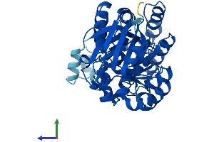 AlphaFold protein structure predicition of Human Recombinant AMDHD1 Protein, UniprotID Q96NU7