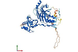 AlphaFold protein structure predicition of Mouse Recombinant Smad9 Protein, UniprotID Q9JIW5