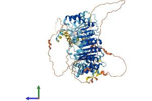 AlphaFold protein structure predicition of Human Recombinant LRRC41 Protein, UniprotID Q15345