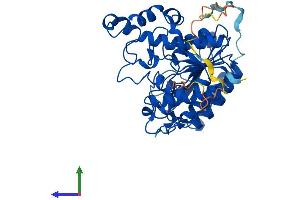 AlphaFold protein structure predicition of Human Recombinant HDAC3 Protein, UniprotID O15379
