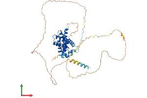 AlphaFold protein structure predicition of Mouse Recombinant Bcl2l13 Protein, UniprotID P59017