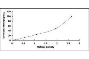 Lectin, Galactoside-Binding, Soluble, 3 Binding Protein (LGALS3BP) ELISA Kit