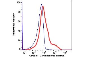 Flow Cytometry (FACS) image for anti-CD38 antibody (FITC) (ABIN2704259) (CD38 anticorps  (FITC))