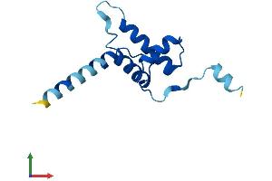 AlphaFold protein structure predicition of Human Recombinant CDKN2AIPNL Protein, UniprotID Q96HQ2