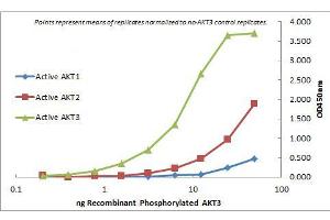 ELISA of Mouse Monoclonal anti-AKT3 antibody. (AKT3 anticorps  (Internal Region) (Biotin))