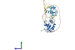 AlphaFold protein structure predicition of Human Recombinant EHF Protein, UniprotID Q9NZC4