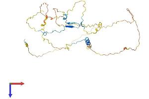 AlphaFold protein structure predicition of Mouse Recombinant Cdc42ep4 Protein, UniprotID Q9JM96