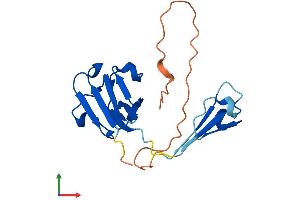 AlphaFold protein structure predicition of Human Recombinant CRYGN Protein, UniprotID Q8WXF5