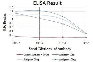 Red: Control Antigen (100 ng), Purple: Antigen (10 ng), Green: Antigen (50 ng), Blue: Antigen (100 ng),