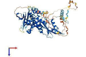 AlphaFold protein structure predicition of Human Recombinant GRB7 Protein, UniprotID Q14451