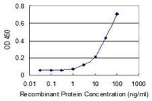 Detection limit for recombinant GST tagged NOC3L is 1 ng/ml as a capture antibody. (NOC3L anticorps  (AA 702-800))